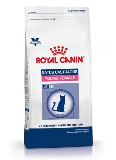 ROYAL CANIN YOUNG FEMALE